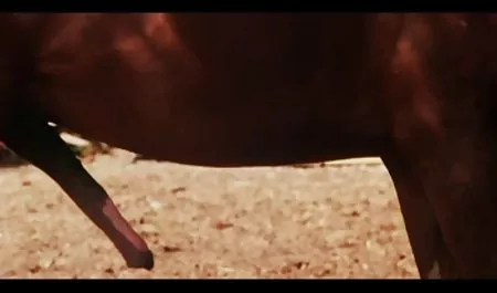 ویرجین بریتانیا مورد سکس اروپایی اینستاگرام استفاده قرار گرفت در جوراب به نام نیکولاس در مقابل دوربین گفت: