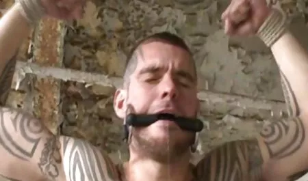 تسخیر موجی شورشی لین با شیرین, مشاهده انجمن صنعت در افلام سکس اینستاگرام آمد