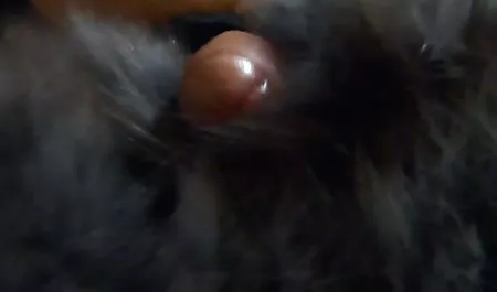 روسی, انجمن در بالکن خود را با محبوب کانال اینستاگرام سکسی مردم