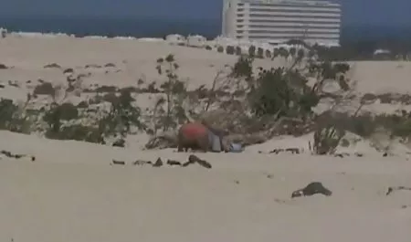 یک مرد در لباس کلیپهای سکسی اینستاگرام زن